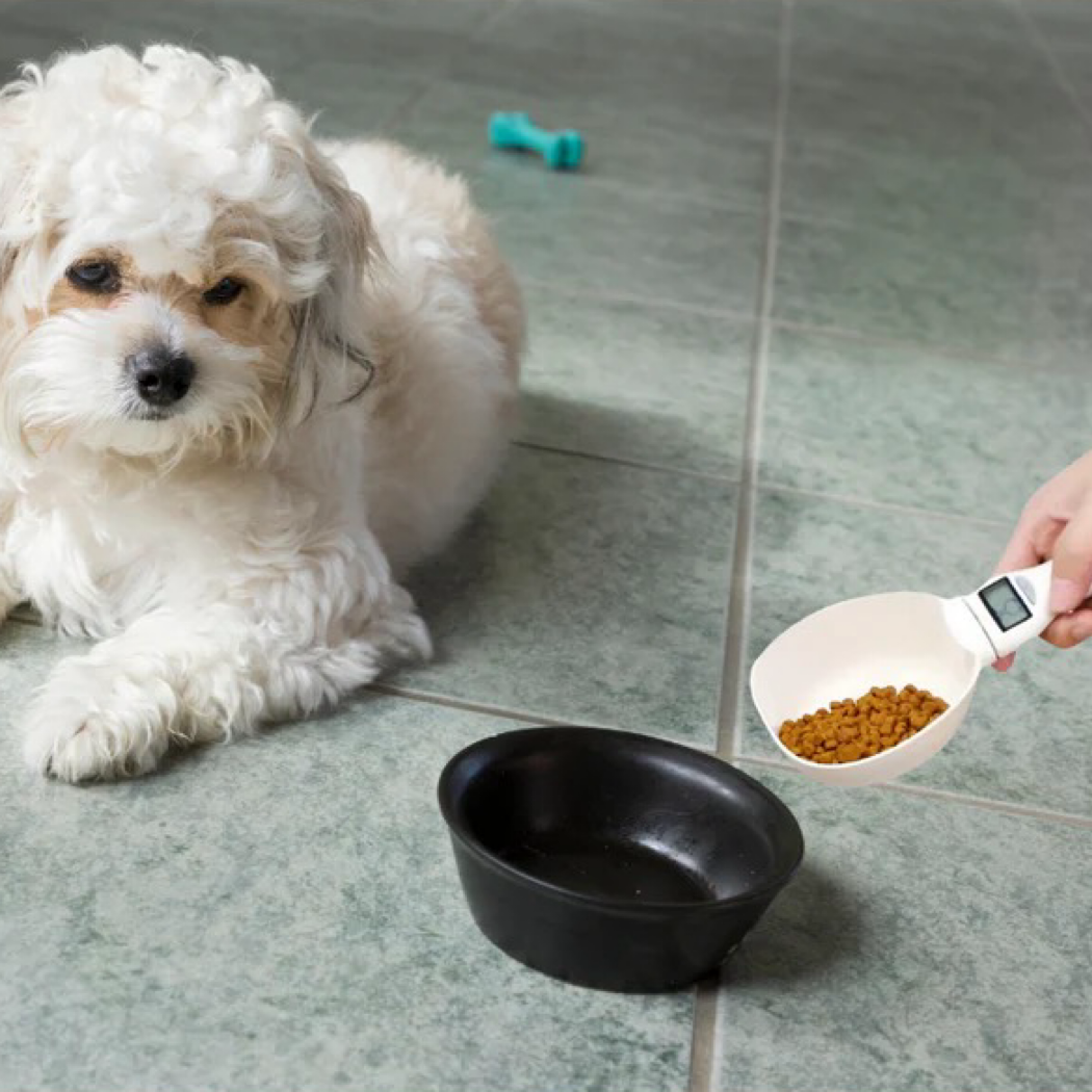 Electronic food scale with LCD display